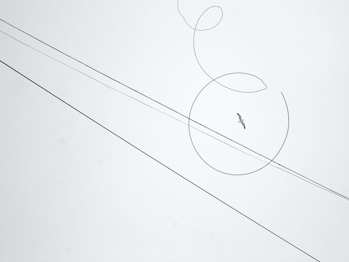 Sequencing linear and non-linear topics