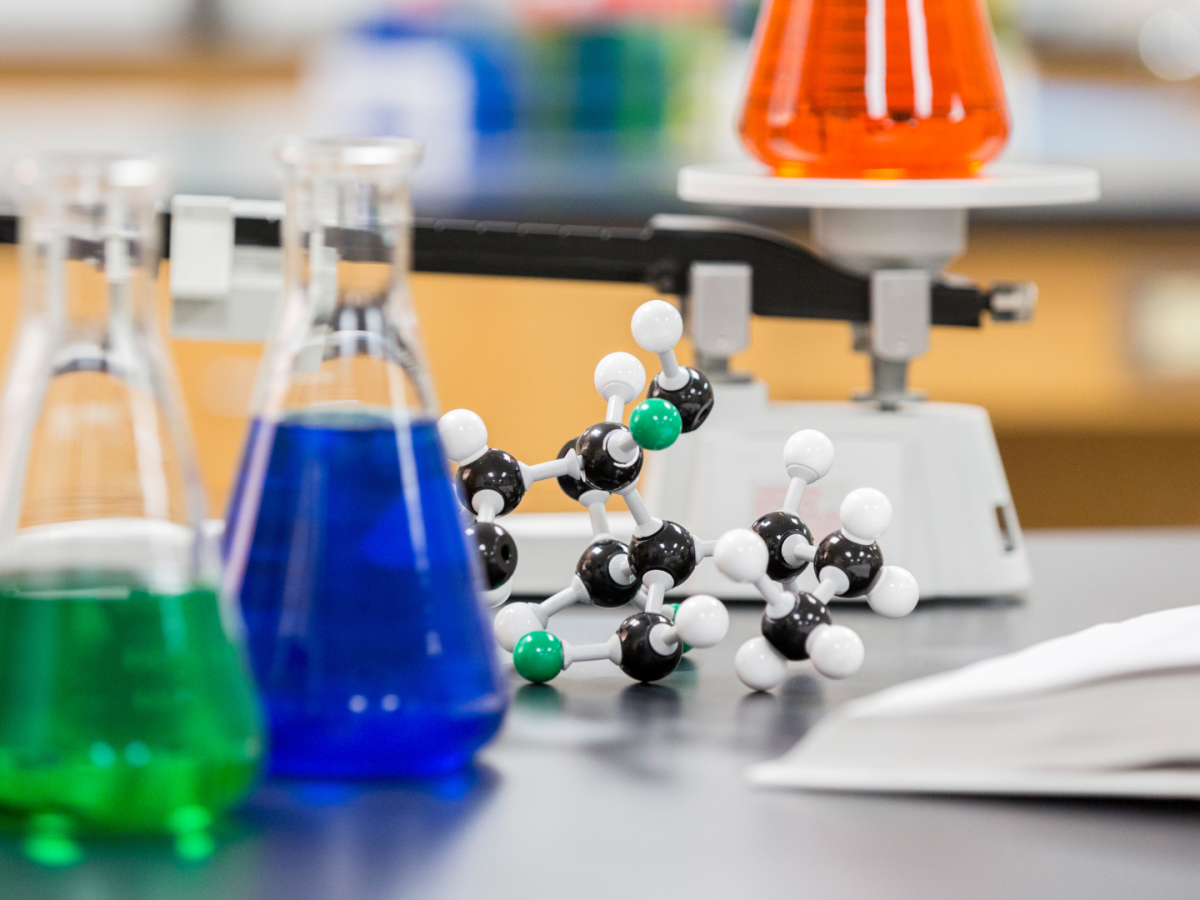 The purpose of practicals